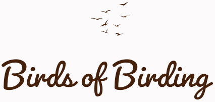Birds of Birding